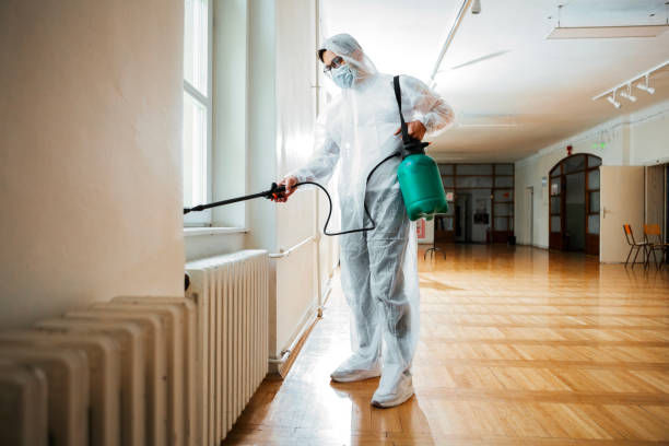 Best Real Estate Pest Inspections  in Zephyrhills North, FL